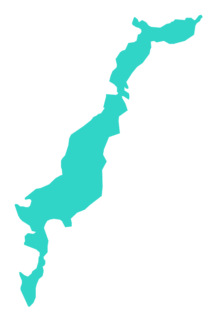 Borówno