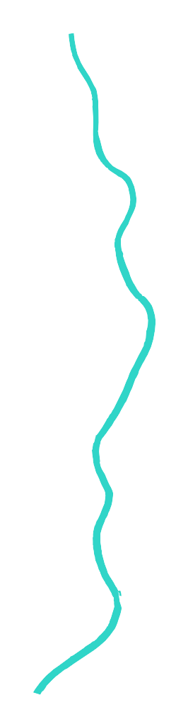 Dolna Wisła nr 5