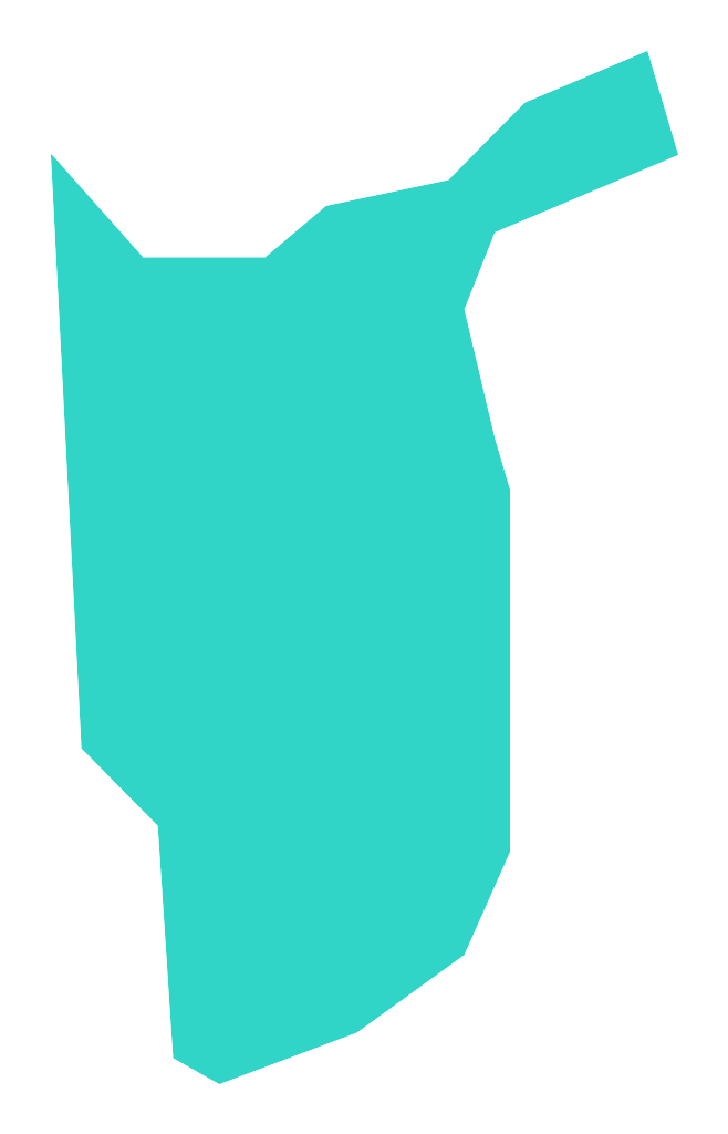 Niecponek