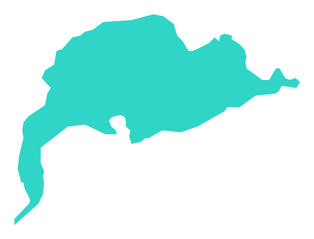 Wylewy