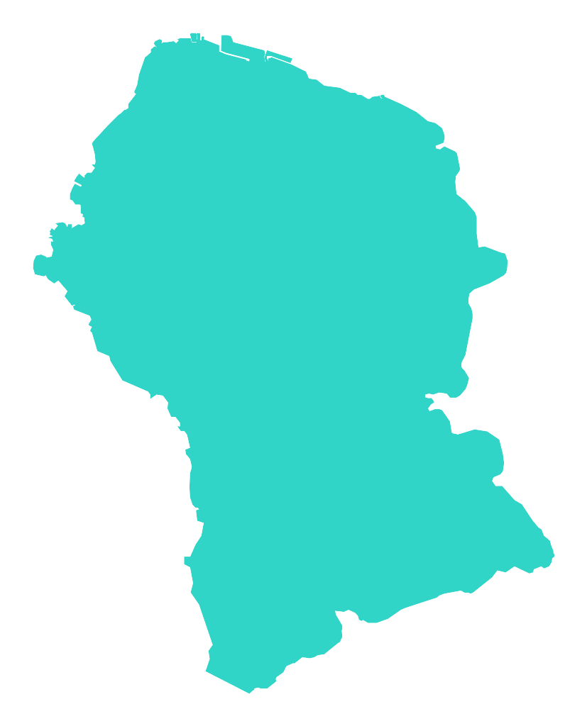 Niegocin
