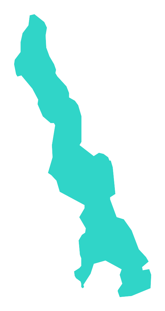 Dłużec