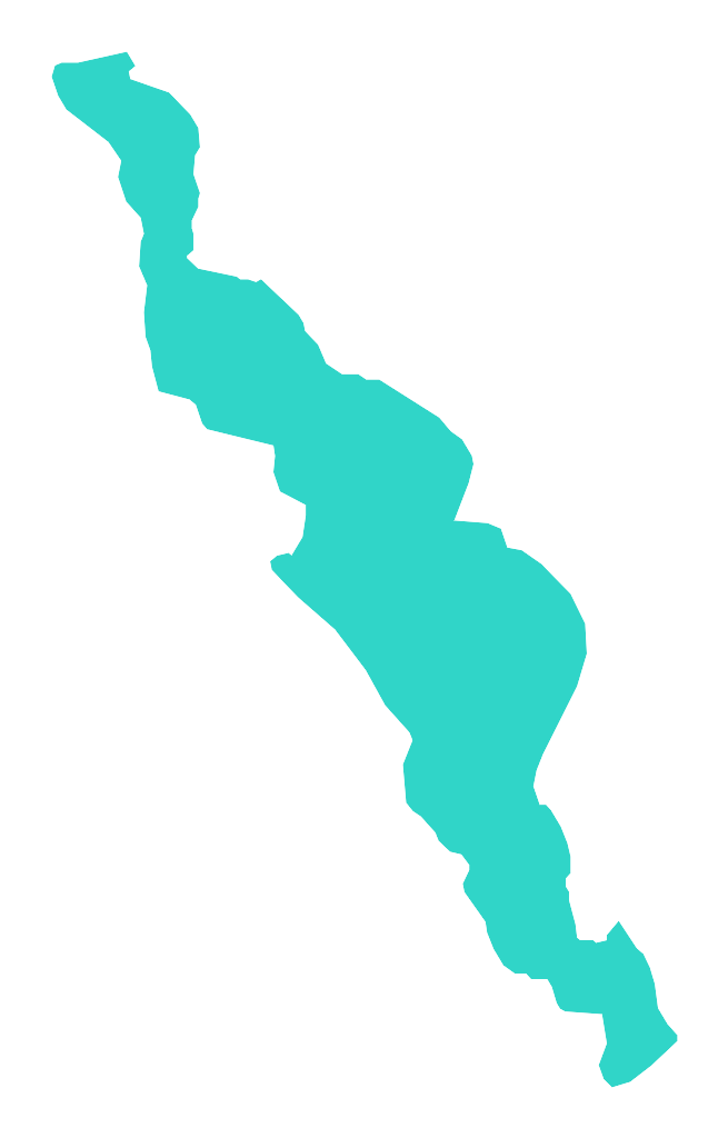 Bachotek