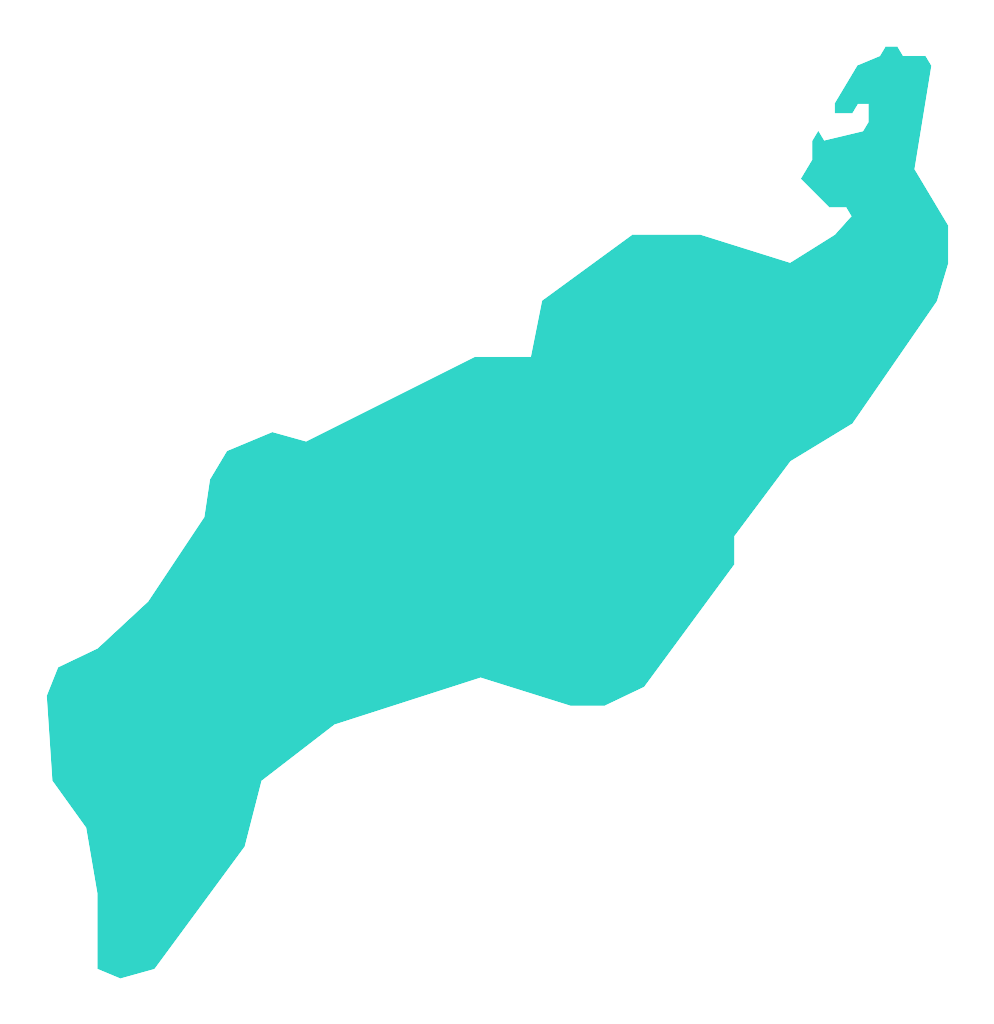 Borówno