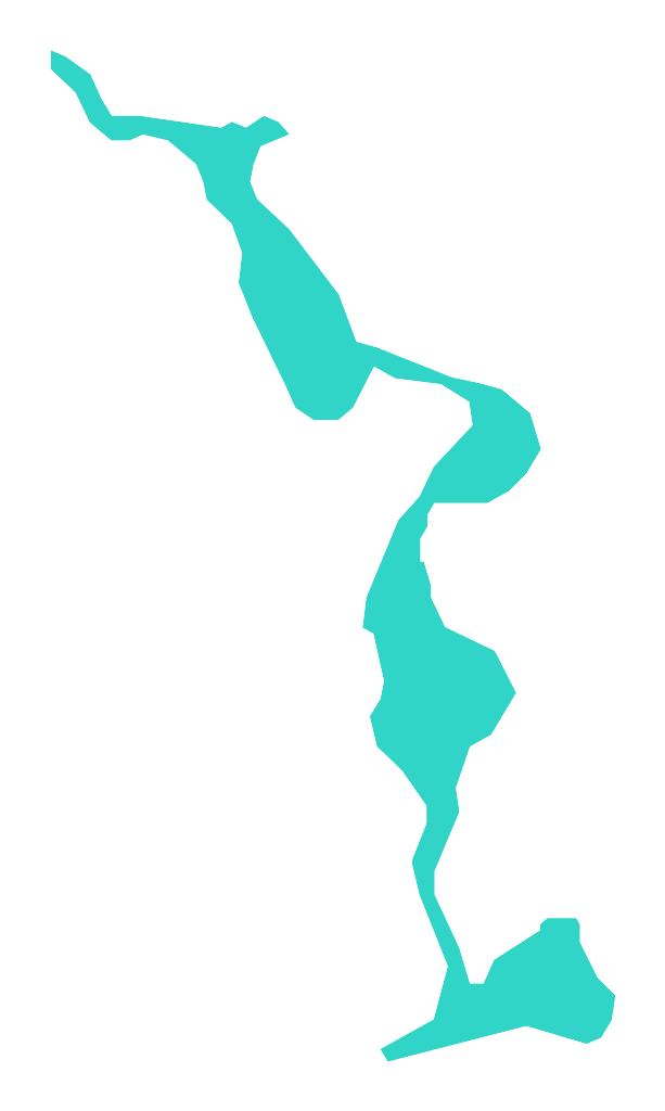 Kurzyny