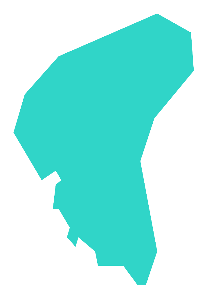 Piastoszyn