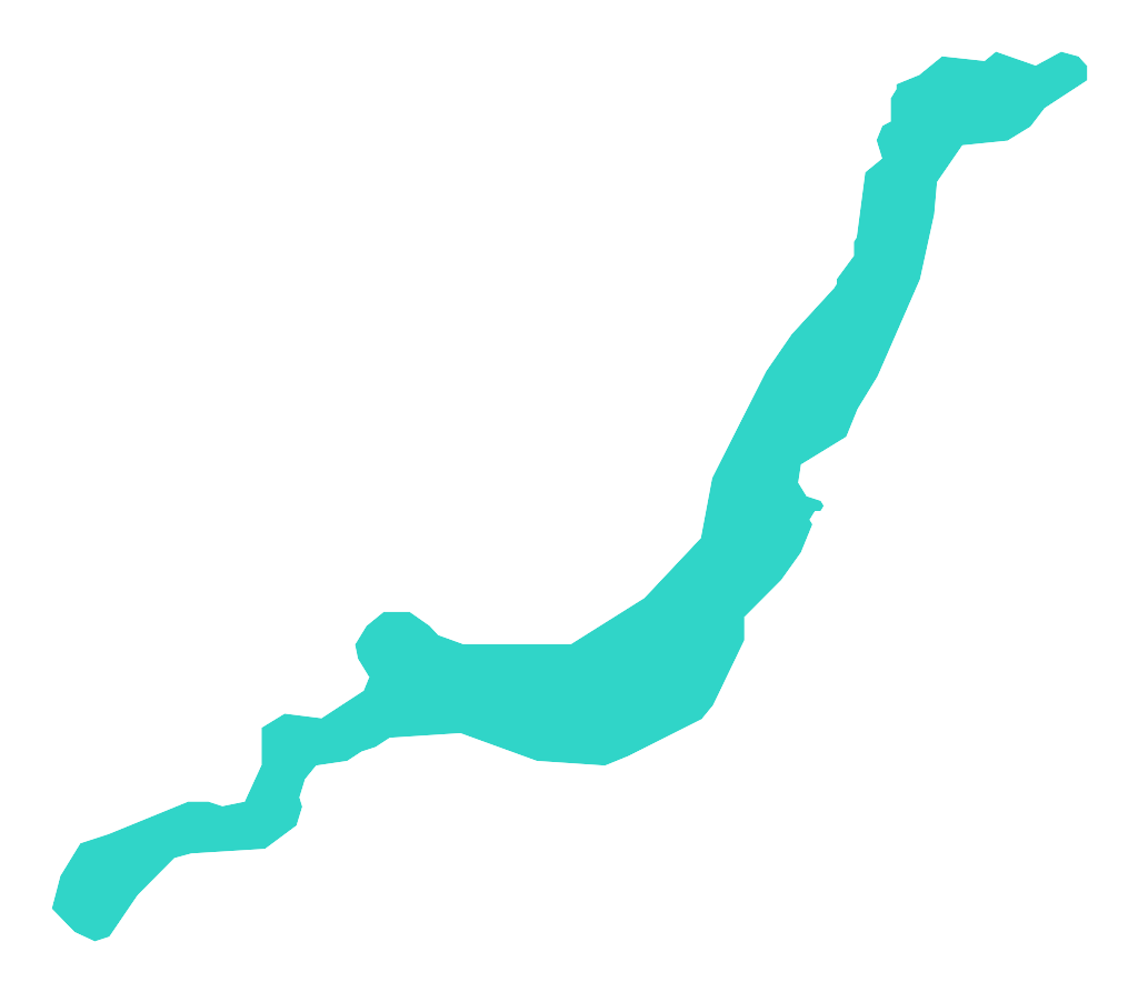 Lubinieckie
