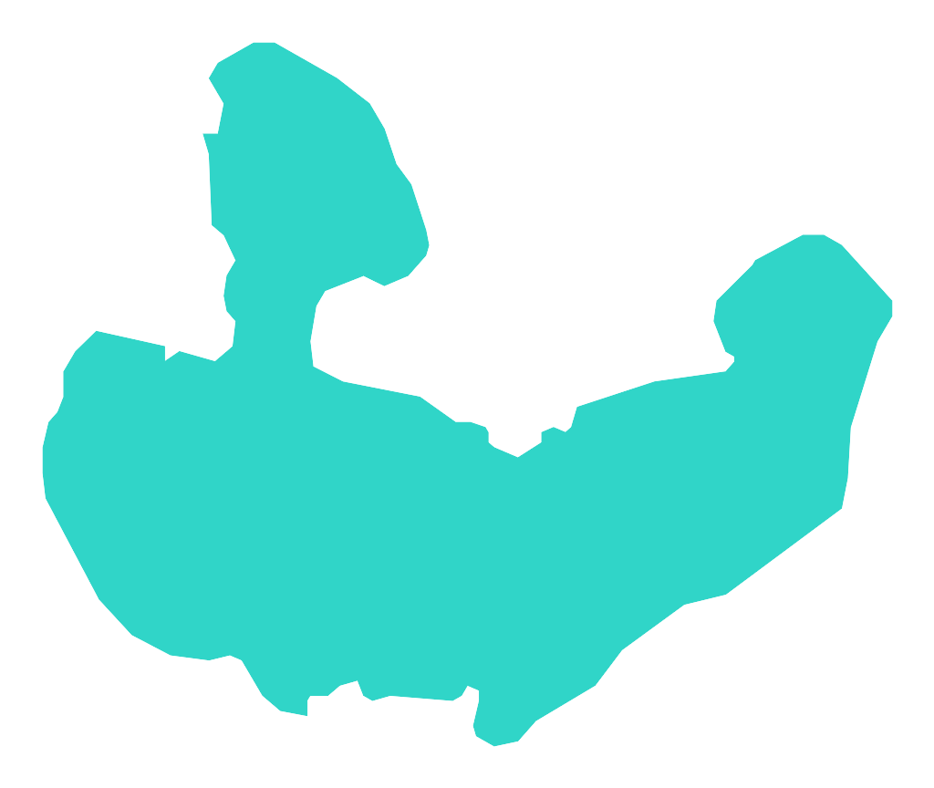 Zagnanie