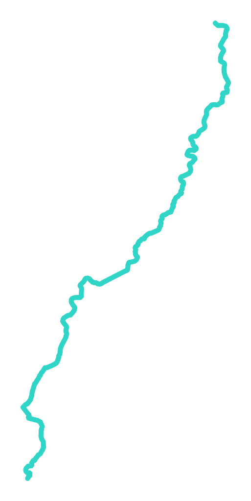 Tuja (Święta)