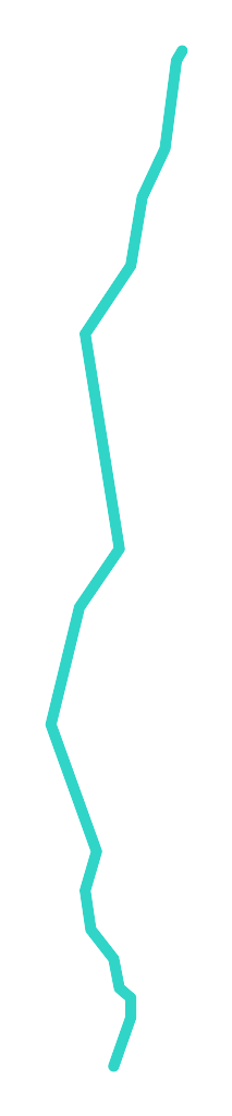 Kunica nr 2