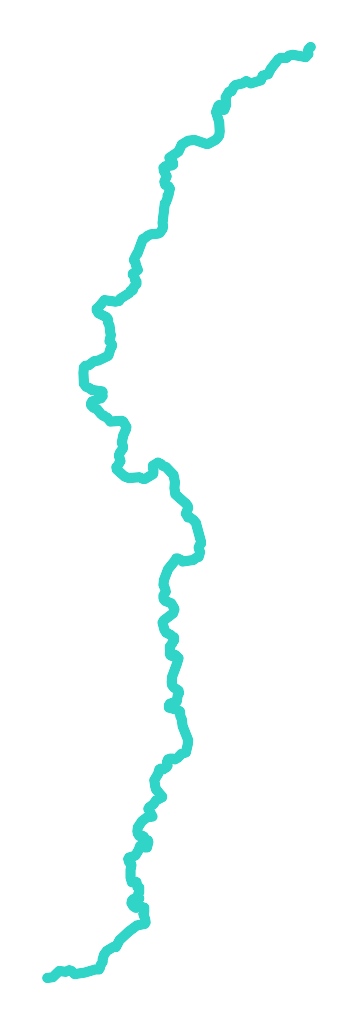 Netta