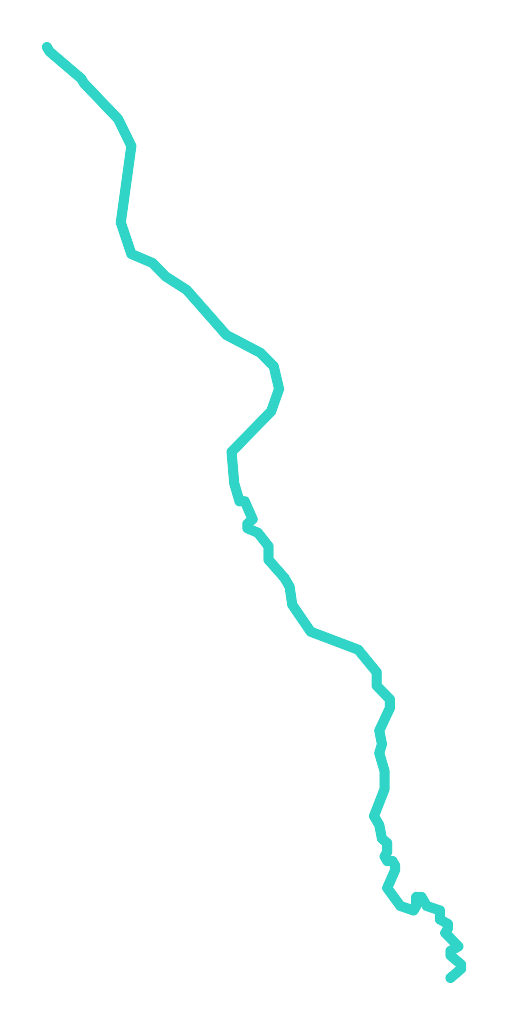 Żubrówka