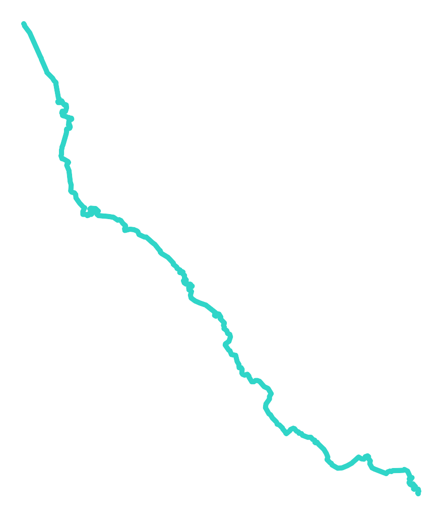 Narewka