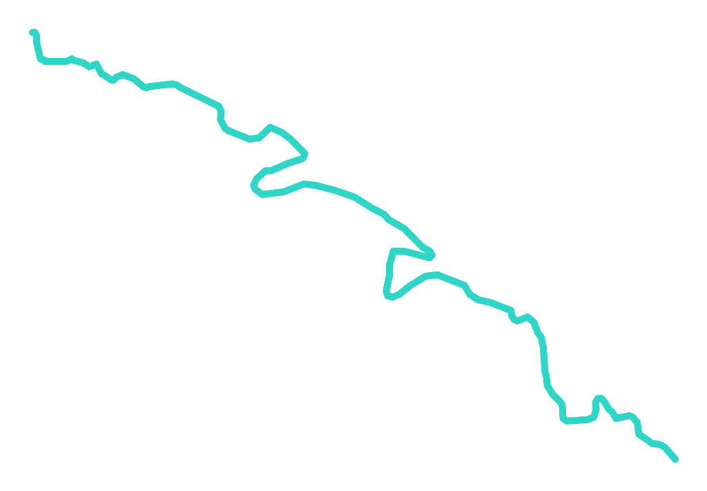 Narwica