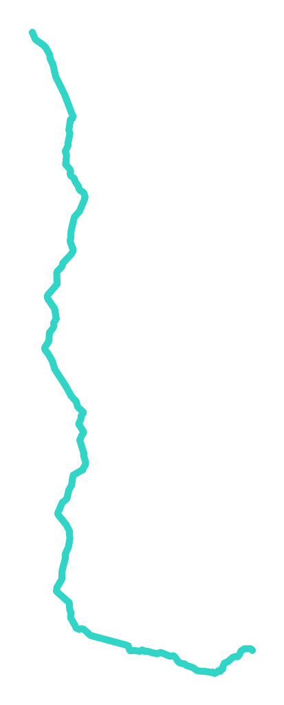 Nurczyk