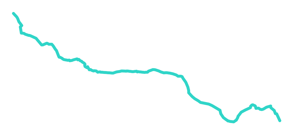 Dąb