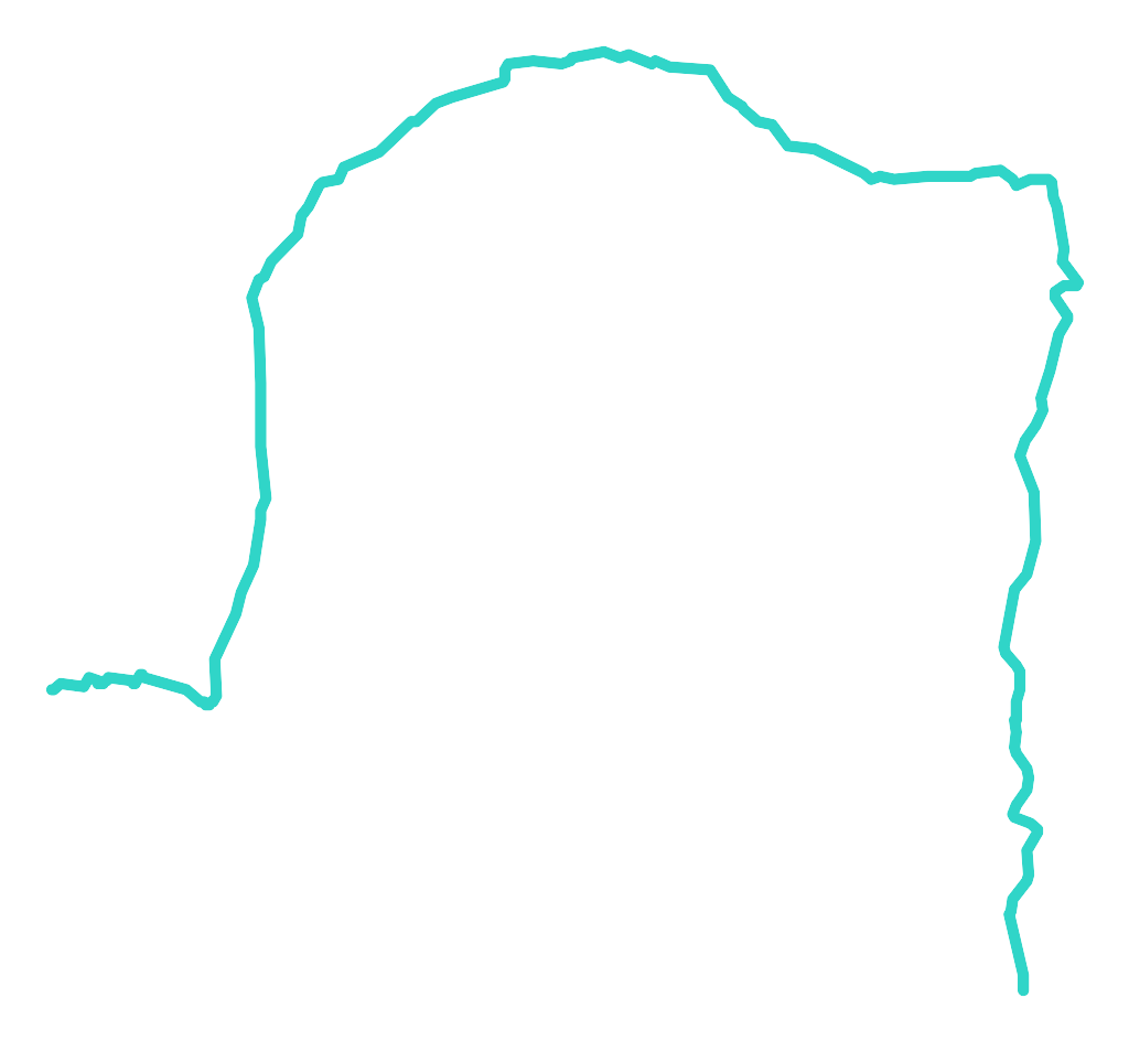 Bagienica