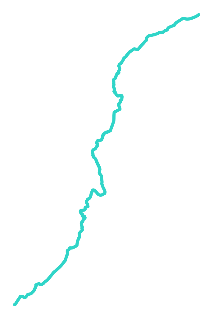Kurzyca nr 1