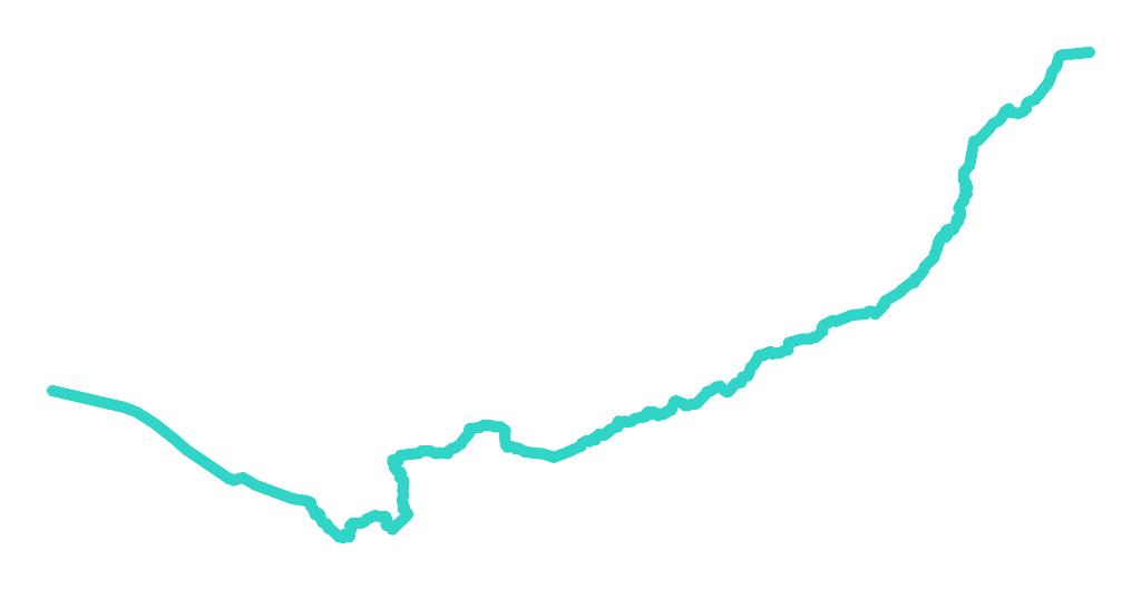 Gunica nr 2