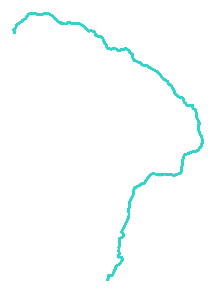 Włodzica