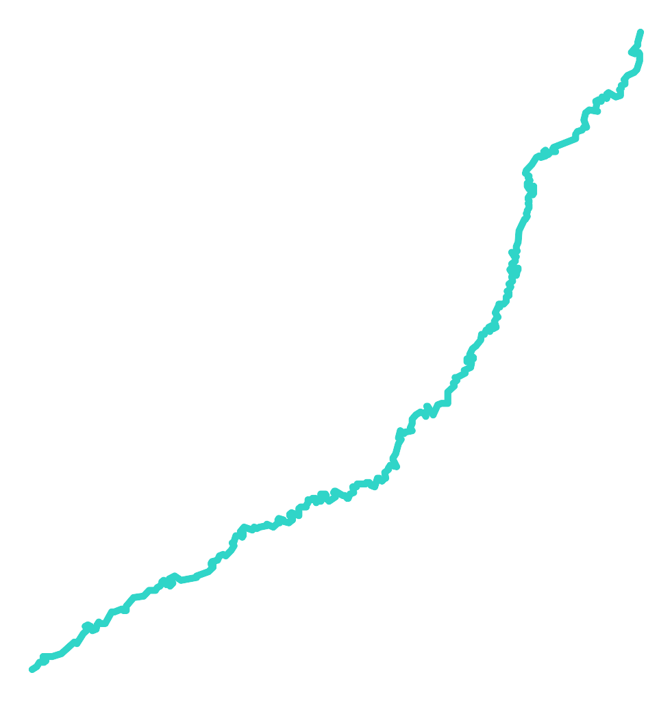 Rakowa