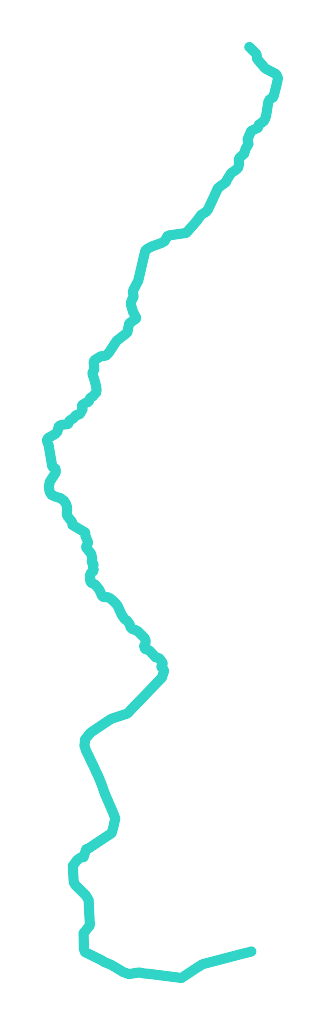 Zielawa