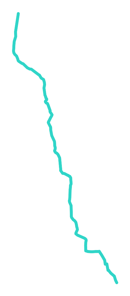 Pisia