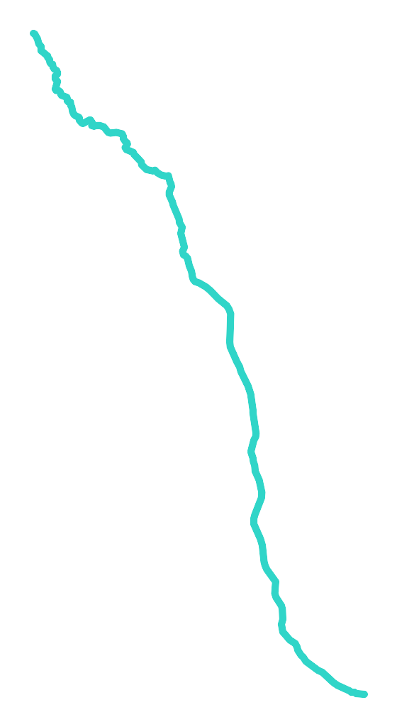 Zubrzyca