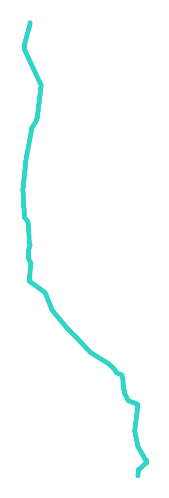 Korzeniówka
