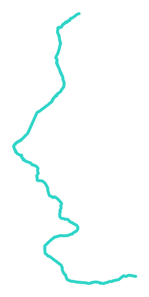 Wąglanka