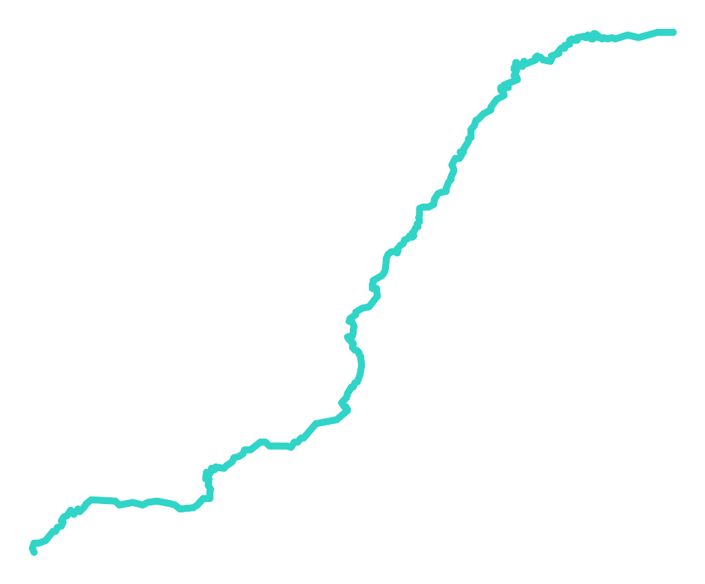 Warkocz