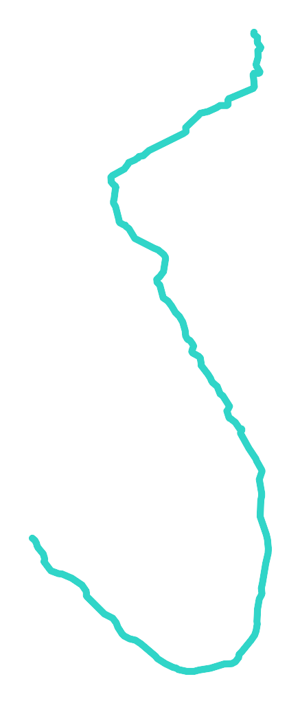 Żebrówka