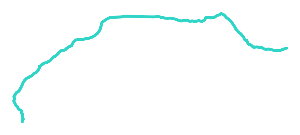 Żylica