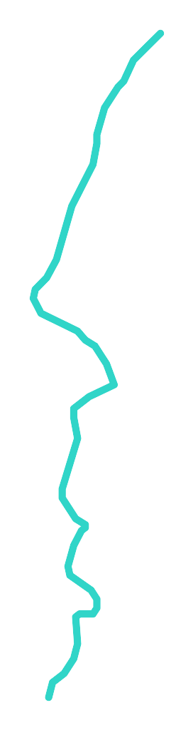 Cicha