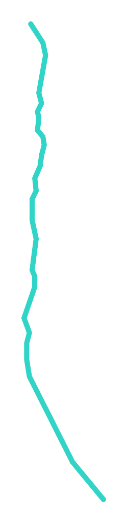 Hołcyna
