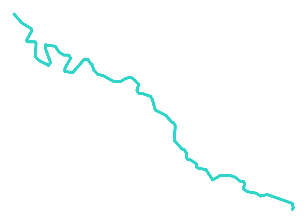 Stężniczka