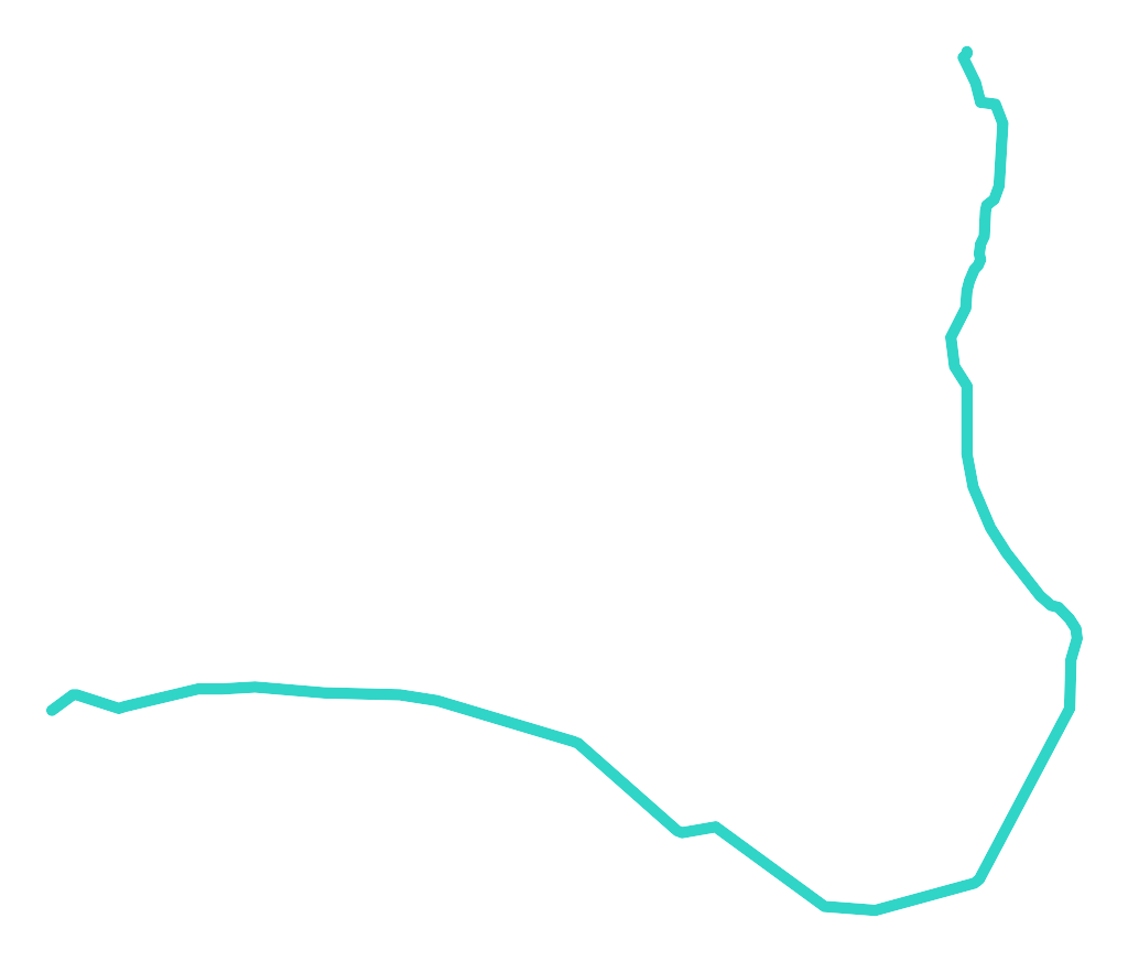 Jeżówka