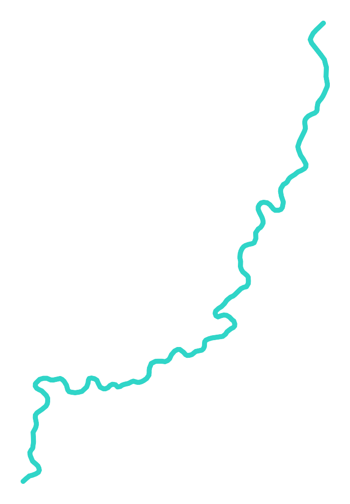 Raba nr 5