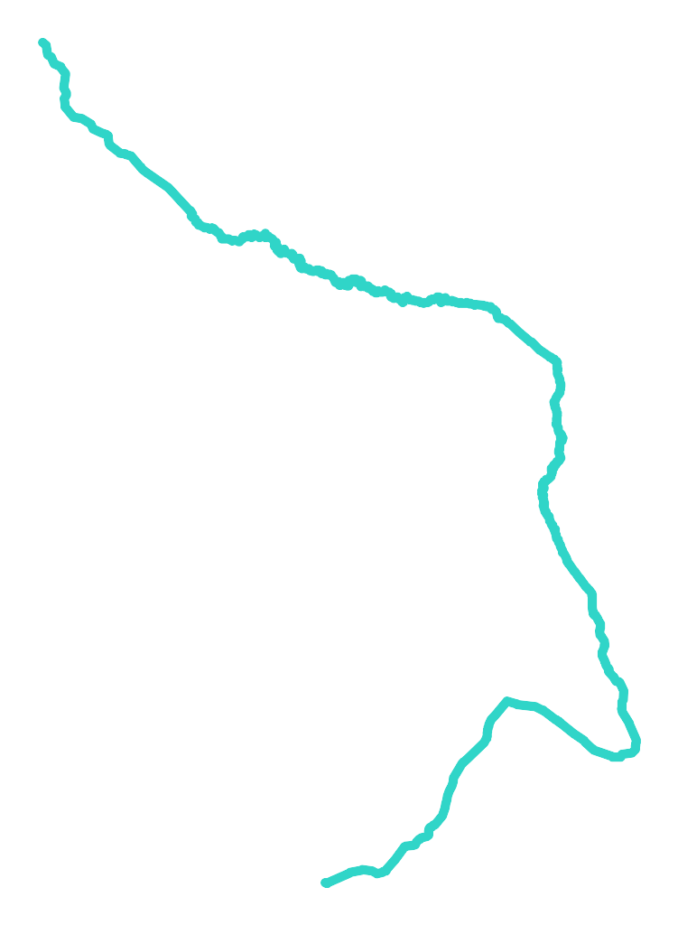 Pacynka