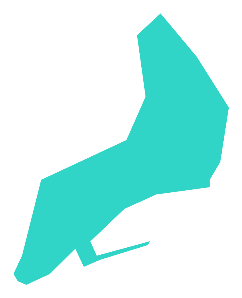 Kotek (Kotek Wielki)