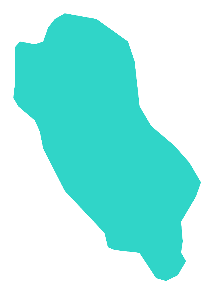 Kot