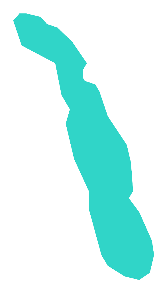 Konie