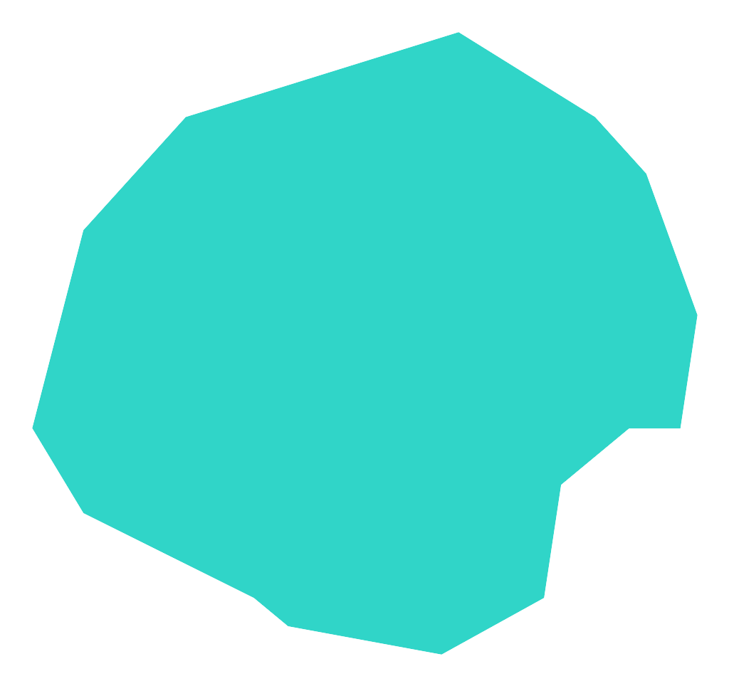 Zbrzyca (Oczko)