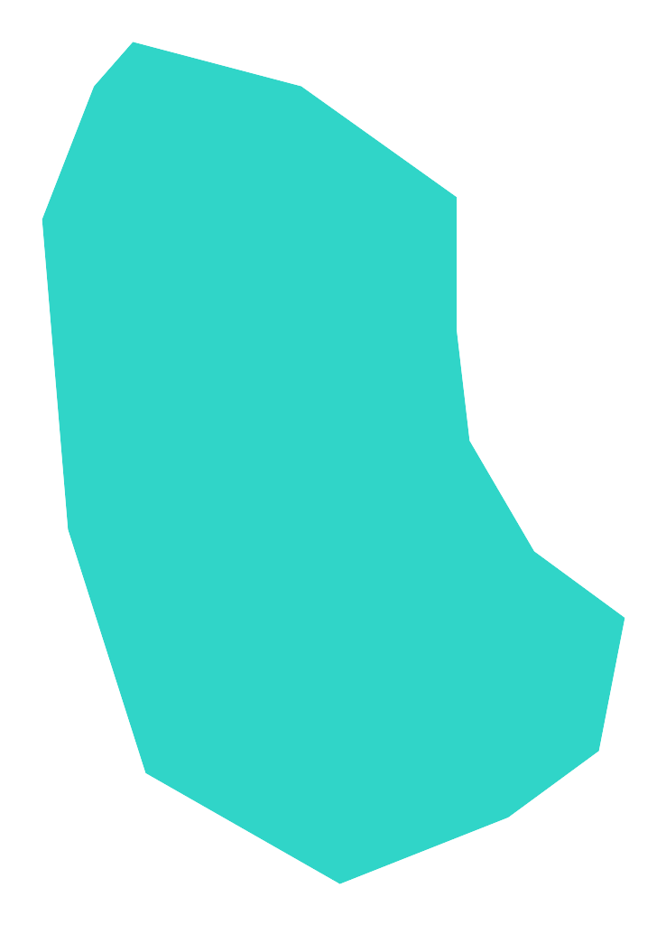 Ślepak (Slepak)