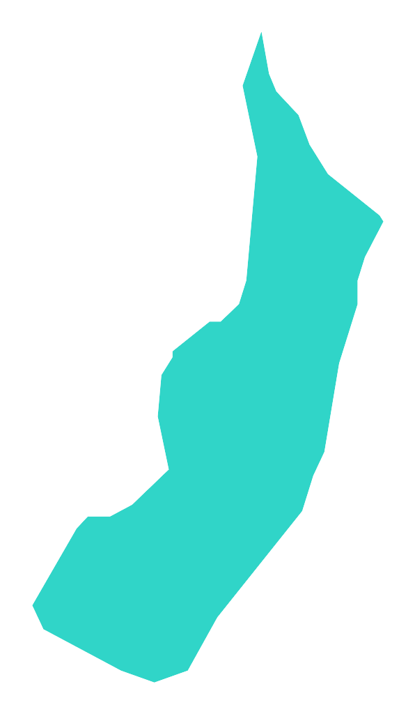 Stradomia