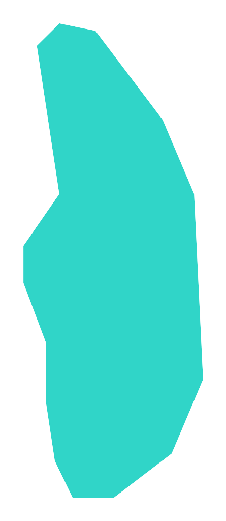 Niedźwiady