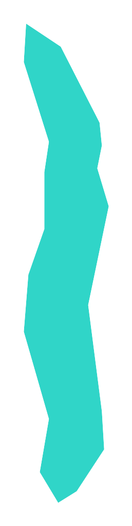 Czarownica (Borzymińskie)
