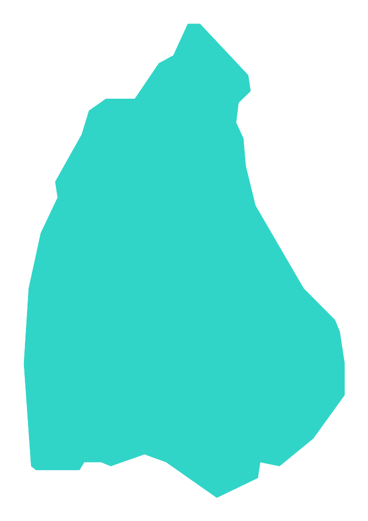 Konin