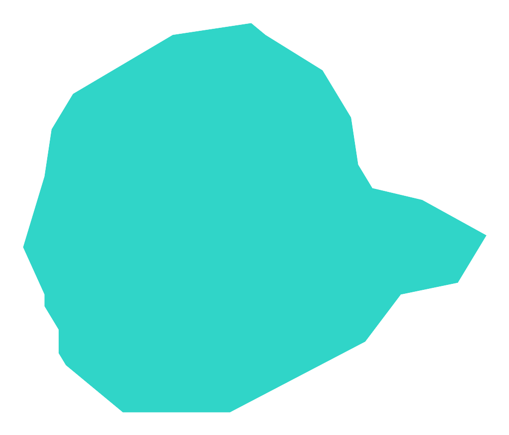 Santocko (Santoczynek, Mironickie, Leśne)