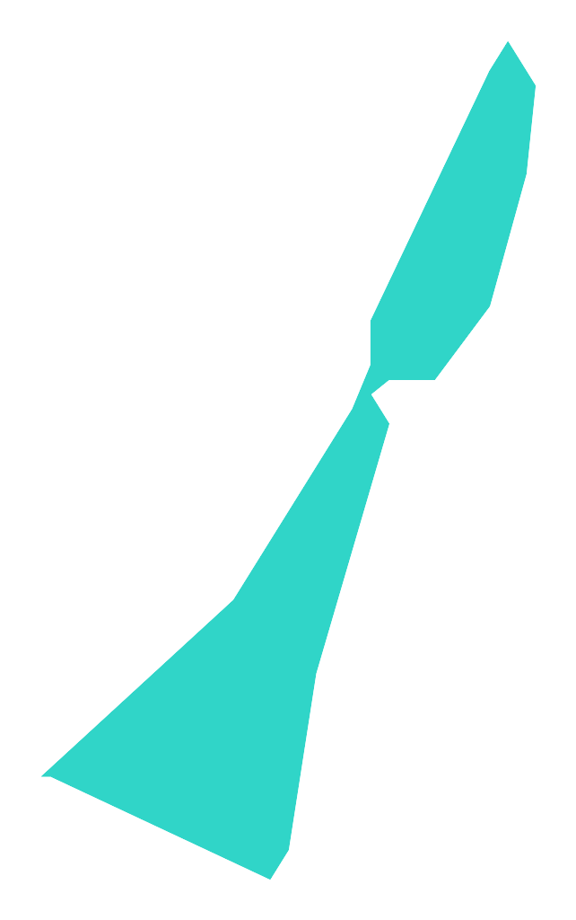 Patyki